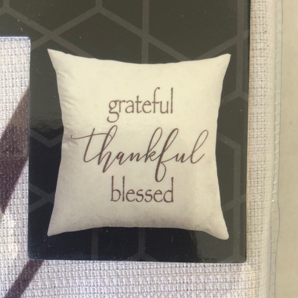 🌵 3/$15 Decorative Reversible Thankful Blessed Grateful Pillow Cover 18x18